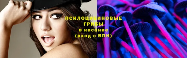 стаф Балабаново